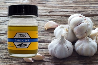 Garlic Dip